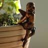BlossomGrace Fairy Pot Huggers  Angel Resin Garden Planter Decoration For Flower Pots 9