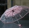 Creative Transparent Cherry Blossom Umbrella  Clear Couple  Student Beach SunRain Protection 6