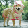 Transparent Hooded Dog Raincoat  Waterproof Pet Rainwear Jacket For Small Dogs  Puppies 4