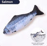 Interactive USB Rechargeable Floppy Fish Toy  Electric Simulation Chew  Training Toy For Cats  Dogs 7