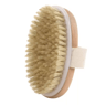 2in1 Natural Bristle Body Massage Brush  Dry Skin Exfoliator And AntiCellulite Circulation Massager 9