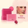 2in1 Fruit Blush  Lipstick Stick  MultiUse Lip And Cheek Makeup Color 9