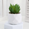 Mini Artificial Succulent Bonsai Plants Realistic Fake Greenery Decor For Desk And Home 4