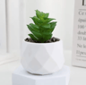 Mini Artificial Succulent Bonsai Plants Realistic Fake Greenery Decor For Desk And Home 7