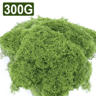 Eternal Life Artificial Moss Decor  Mini Landscape Fake Moss Grass For DIY Crafts  Home Decoration 6