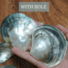 Black Mother Of Pearl Shell  Polished Pinctada Margaritifera Decor  Craft Piece 5