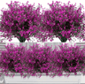 12 Bundles UV Resistant Artificial Outdoor Flowers  Lifelike Plastic Shrubs For Garden  Window Box  7