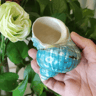 OceanAura Natural Large Hermit Crab Turbo Shells For Coastal Decor  Vase Fillers 3