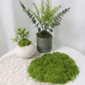 GreenScape DIY Artificial Moss Decor For Crafts Garden And Home Styling 6