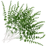 10100PCS Artificial Eucalyptus Leaves  Bulk Greenery For DIY Crafts Wedding  Home Decor 6
