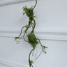 Artificial Rattan Vine Branches  Hanging Rustic Wall Decor For Weddings  Home Styling 4