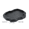 Natural Rock Style Reptile Feeder Bowl For Tortoise Lizard And Terrarium Habitats 5