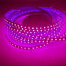 DC 12V 24V Flexible SMD 2835 LED Strip Light 120 LEDs Per Meter For Home Cabinet Architectural And  12