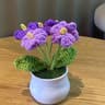 Handwoven DIY Mini Rose Potted Flower Woolen Thread Finished Home Decor For Office And Desktop 8