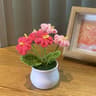 Handwoven DIY Mini Rose Potted Flower Woolen Thread Finished Home Decor For Office And Desktop 9