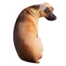 Funny Dog Head Cosplay Throw Pillow 3D Lifelike Cushion For Children 5