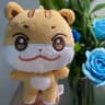 Kpop Plushies Stuffed Animal Toy Soft  Cute Room Decor 5